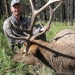 Randy's Self Guided 16A Archery Bull w/JFWRC
