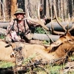 Mike's 16A 1st Season Bull