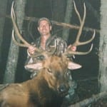 Scott's 16A Archery Bull