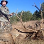 New Mexico Elk Hunting