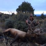 New Mexico Elk Hunting