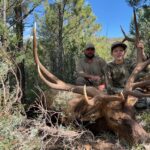 Unit 34 Bull - Barry Guiding